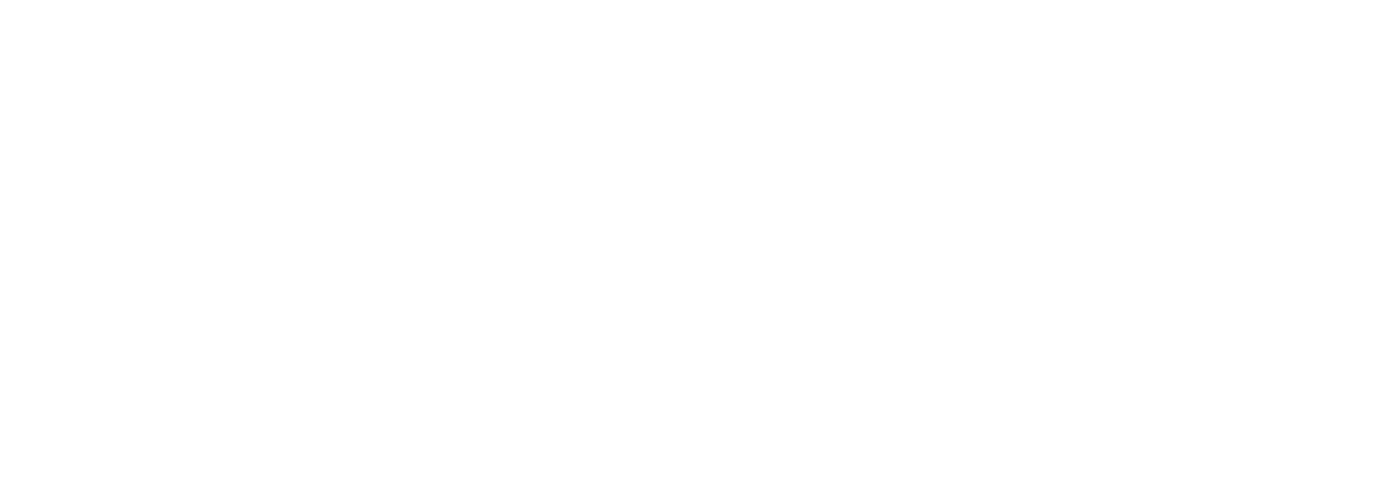 Logo Elektro Schmelzer